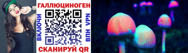 как найти   Черногорск  Псилоцибиновые грибы ЛСД 